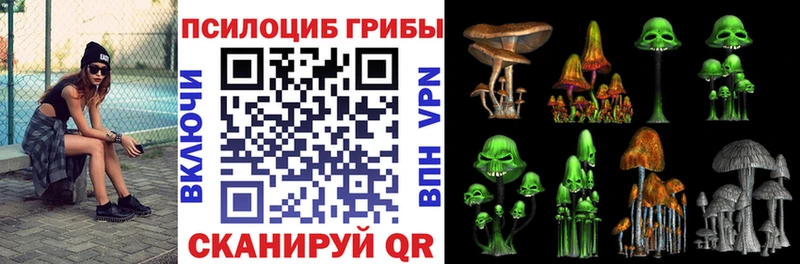 Псилоцибиновые грибы прущие грибы  Стрежевой 